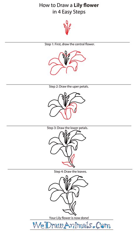 How To Draw A Flower (Step By Step Image Guides)