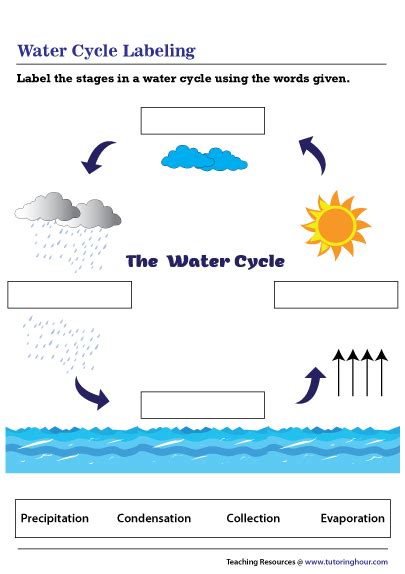 Water Cycle Labeling Worksheet