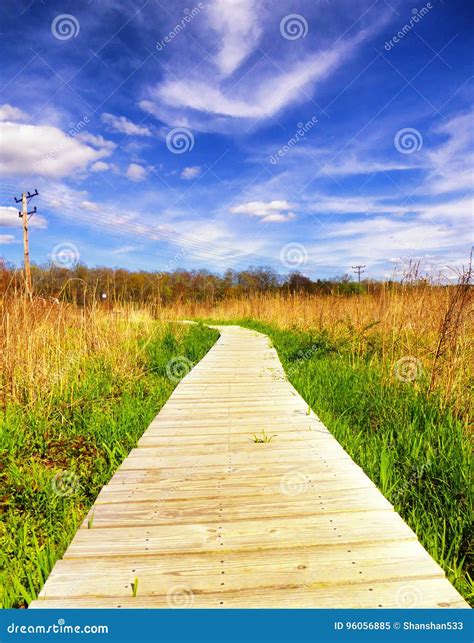White Memorial Nature Area stock image. Image of litchfield - 96056885