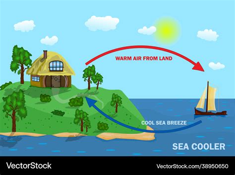 Science poster design for sea and land breeze Vector Image