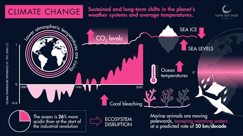 How does climate change affect sharks and rays? - Save Our Seas Foundation