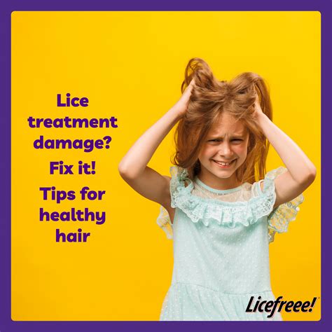 Lice Treatment Damage? Tips for Healthy Hair | Licefreee