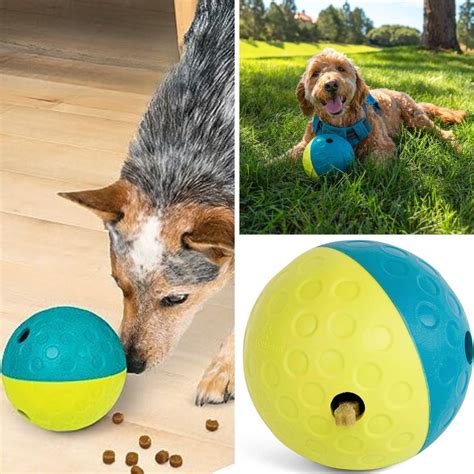 Top 5 Dog Treat Dispensers For Happy Pups!