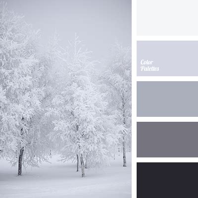 graphite grey color | Color Palette Ideas