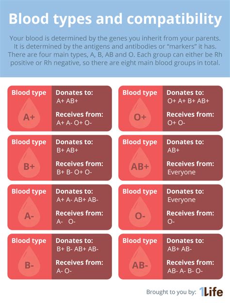 How To Tell Blood Type From Blood Test