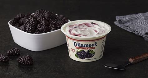 Greek Yogurt - Tillamook | Yogurt, Tillamook, Greek yogurt