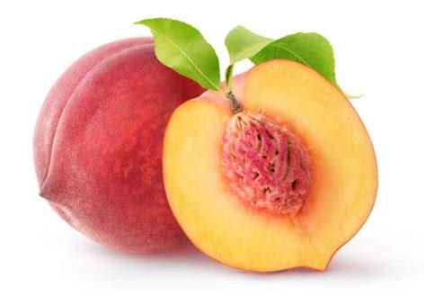 How To Plant A Peach Seed - Minneopa Orchards