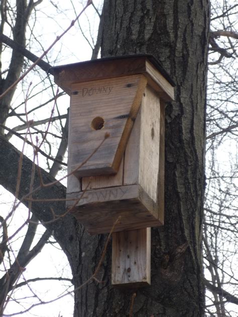 Bird house vacancies. South Burlington, VT-Bird nest box | Litter with a Story To Tell