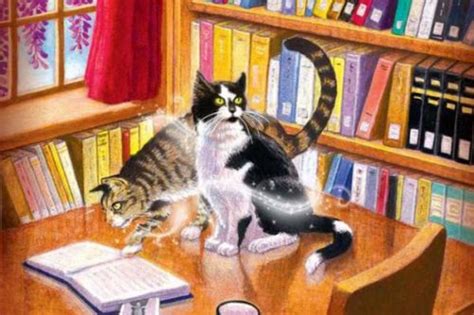 Order of Magical Cats Mysteries Books - OrderOfBooks.com