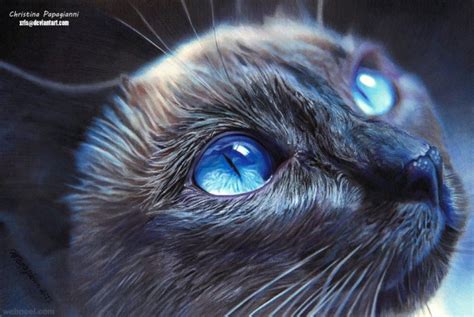 Cat Hyper Realistic Color Pencil Drawing By Christina Papagianni 21