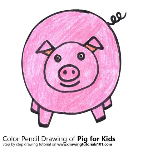 How to Draw a Pig for Kids Easy (Animals for Kids) Step by Step ...