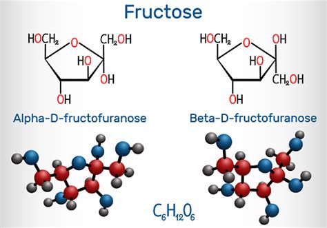 Fructose Alphadfructofuranose Molécule Bêtadfructofuranose Forme Cyclique Formule Chimique ...