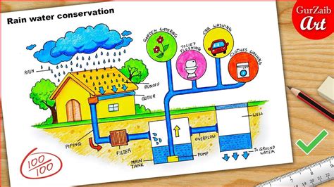 Rain water conservation Diagram drawing || easy way || Labeled Science project in 2022 | Science ...