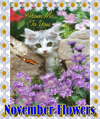 A Cute November Flowers Ecard. Free November Flowers eCards | 123 Greetings