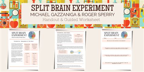 Gazzaniga and Sperry Split Brain Experiment - High School Psychology ...