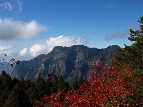 Alishan Mountain Taiwan Photo Gallery - InspirationSeek.com