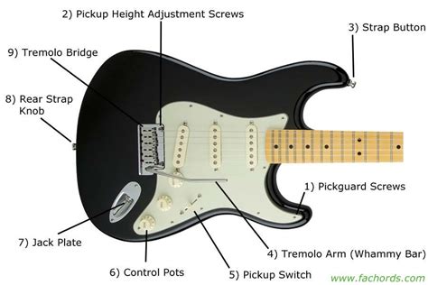 Guitar Parts Names: Know The Parts Of Electric Guitar