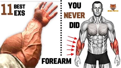 11 BEST Exercises for Bigger Forearms That you never did at Gym - YouTube