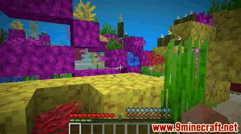 Sea Pickle - Wiki Guide - 9Minecraft.Net