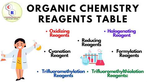 Organic Chemistry Reagents and Their Functions « Organic Chemistry Reaction