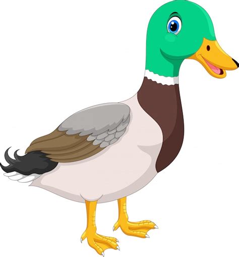 Duck side view Vectors & Illustrations for Free Download | Freepik