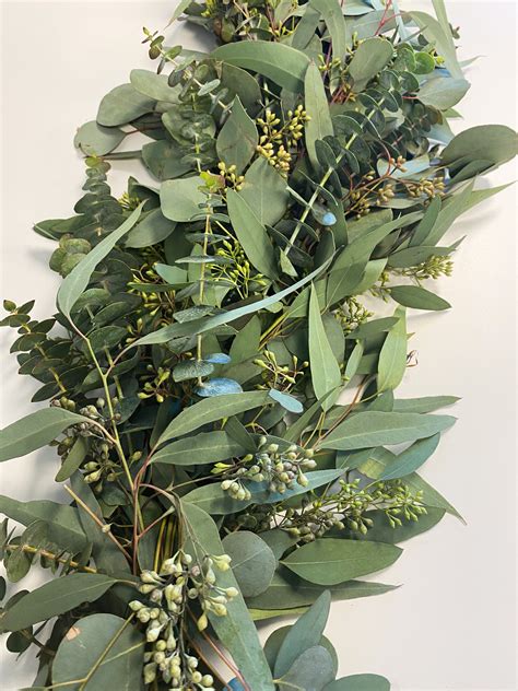 Elegant Eucalyptus Garland – Bunches Direct Canada