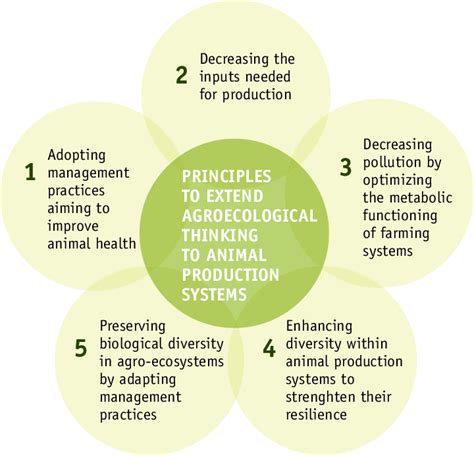 Five ecological principles for the redesign of animal production ...