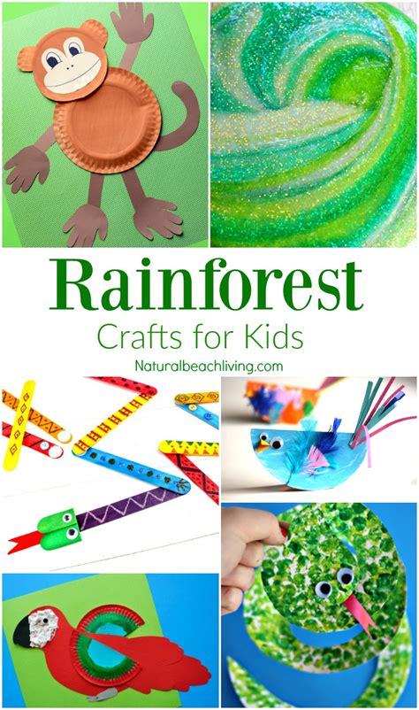 10+ Amazing Rainforest Crafts Kids Can Make - Natural Beach Living