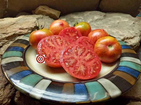 The Best Wild Boar Farms Tomatoes Dragons Eye Tomato Seeds Available ...