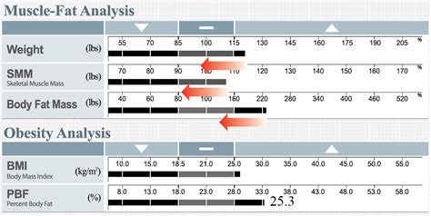 Skeletal Muscle Chart