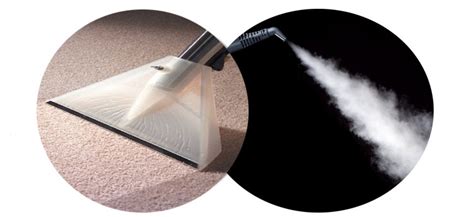 Carpet & Steam Cleaning – BUSY BEES Professional Cleaning Services