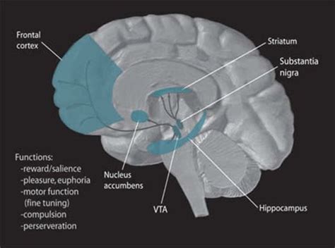 A New Target For Depression Treatment - Neuroscience News