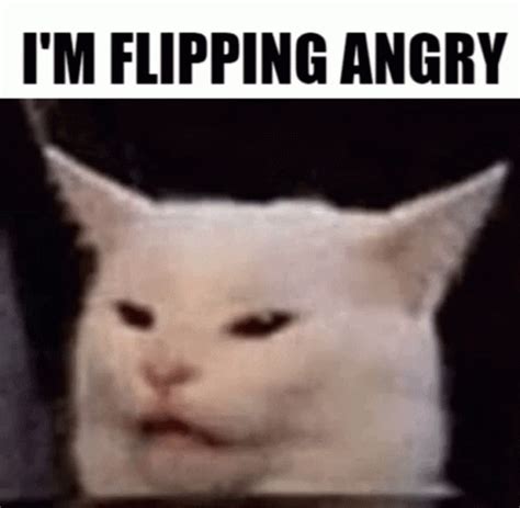 Cat Angry Cat GIF - Cat AngryCat Meme - Discover & Share GIFs