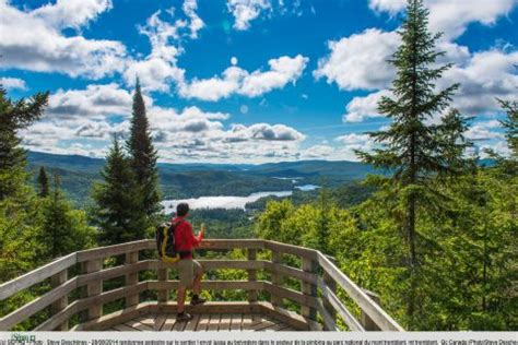 Day Trips from Mont-Tremblant National Park | GetYourGuide