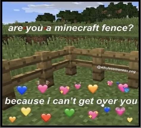 Cute Minecraft Pick Up Lines