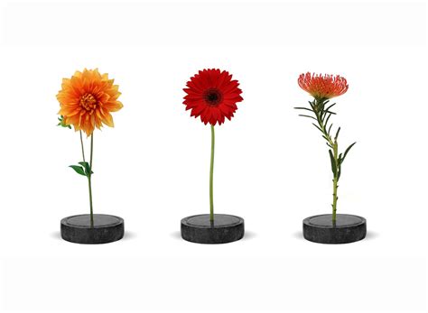 The Minimalist Solo Vase for Single Stems