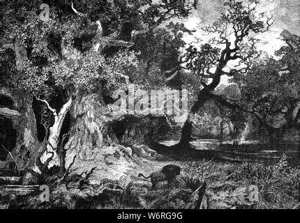 Cimbrian War 113 - 101 BC, battle of Aquae Sextiae, 102 BC, women of Stock Photo: 58418268 - Alamy