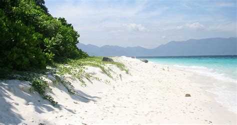 8 Best beaches in Tioman island, Malaysia - Ultimate guide (December 2024)