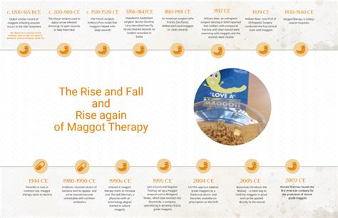 All about Maggot Therapy! – Love a Maggot!