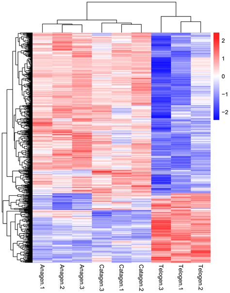 AAB - Screening the key genes of hair follicle growth cycle in Inner ...