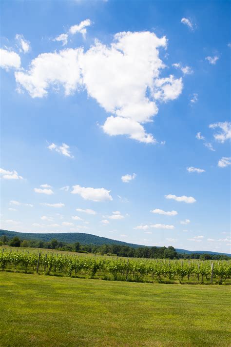 Vineyard - Breaux Vineyards | Top Winery & Tasting Room in Loudoun VA