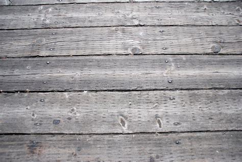 Wooden Walkway Texture stock image. Image of wood, planks - 227913155