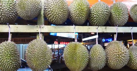 Durian-1200x630-cropped.jpg