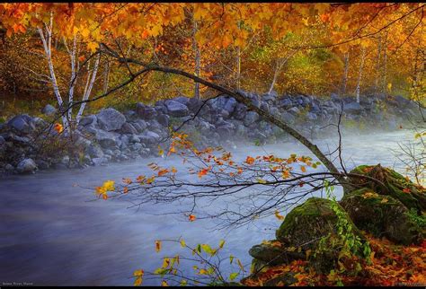 Maine Autumn Wallpaper - WallpaperSafari