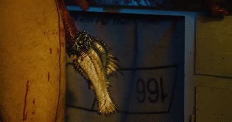 Piranha Movie Gifs