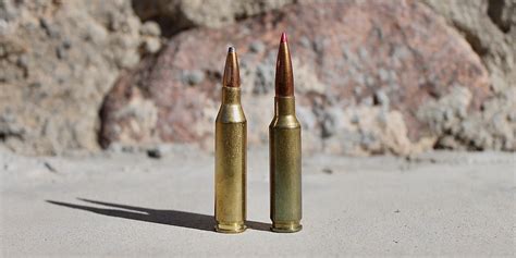 6.5 Creedmoor vs 308 Winchester Compared - Reviewster