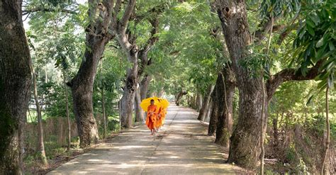 Monks Holding Orange Umbrellas · Free Stock Photo