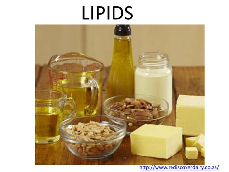 Why Is Vegetable Oil A Lipid at Sheila Weaver blog