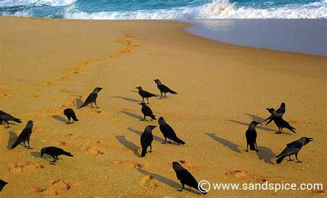 Tangalle Beaches 🌴 Tantalizing Tangalle, Sri Lanka