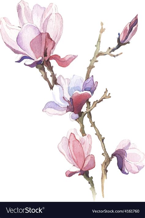 Spring flowers watercolor isolated Royalty Free Vector Image